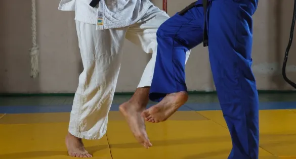 柔道